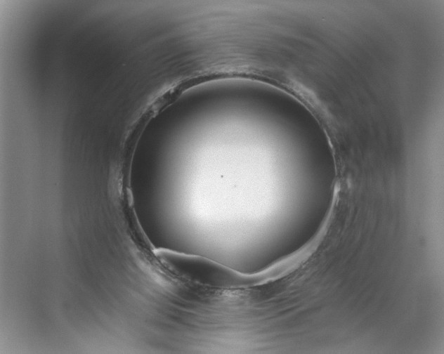 X0000070210060200606091635