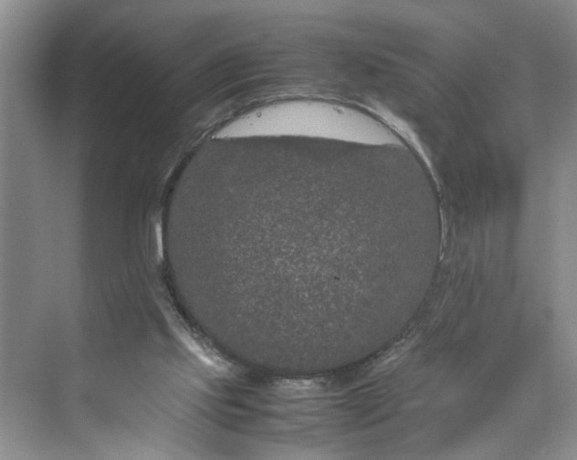 X0000070210061200606091635