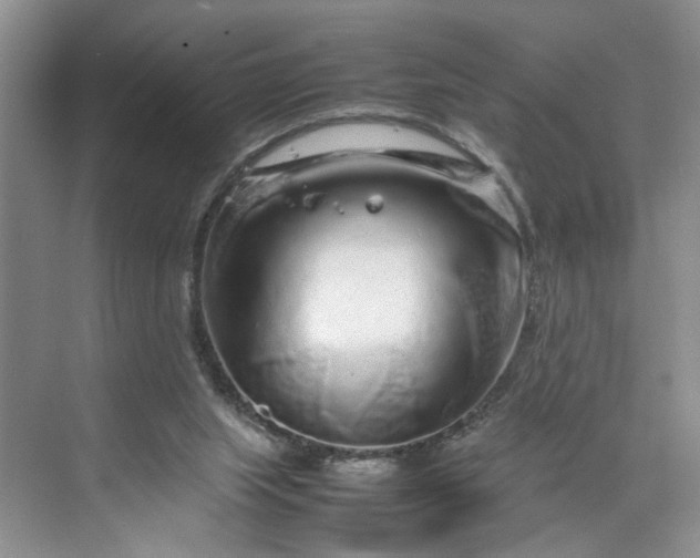 X0000070210063200606091635