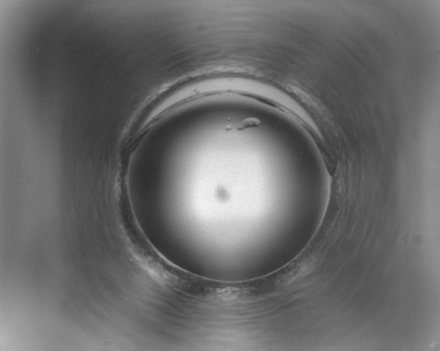 X0000070210064200606091635