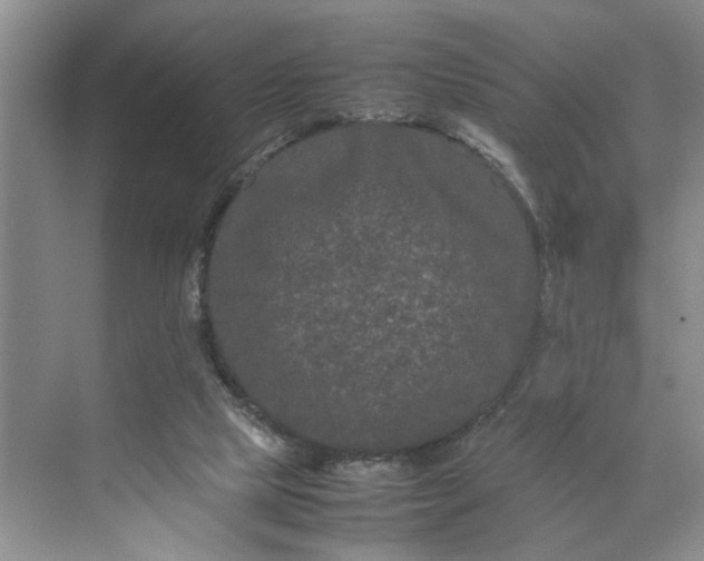 X0000070210065200606091635