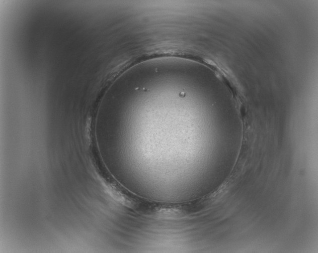 X0000070210066200606091635