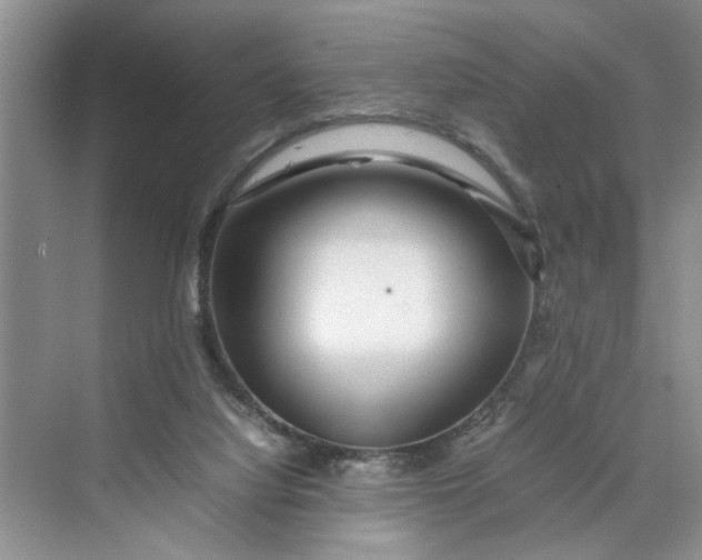 X0000070210068200606091635