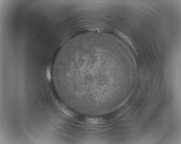 X0000070210069200606091635