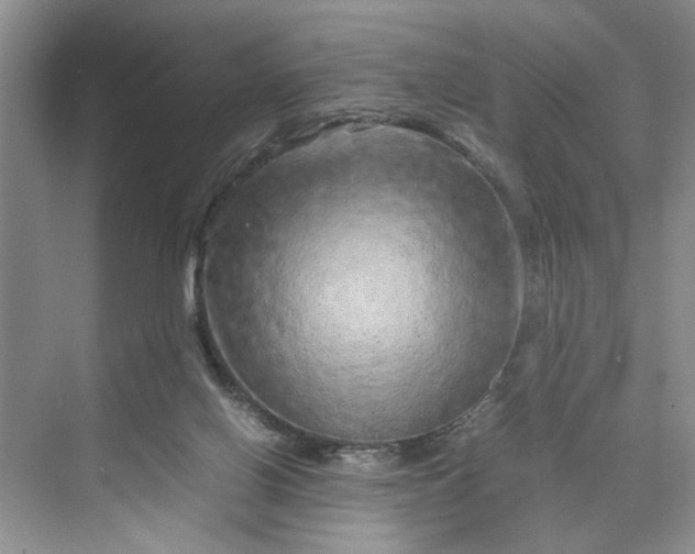 X0000070210070200606091635