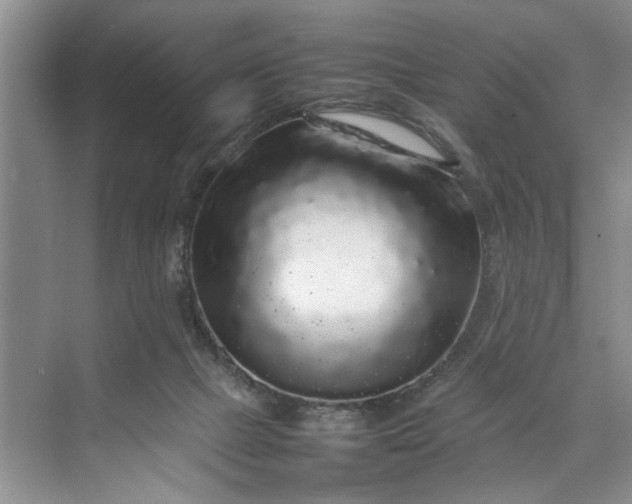 X0000070210073200606091635