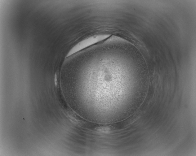 X0000070210075200606091635