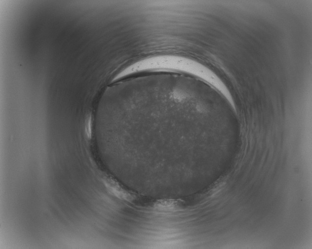 X0000070210076200606091635