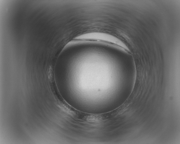 X0000070210077200606091635