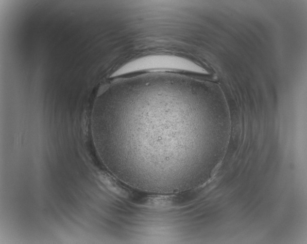 X0000070210078200606091635