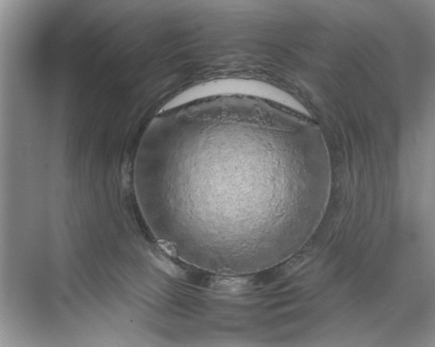 X0000070210081200606091635