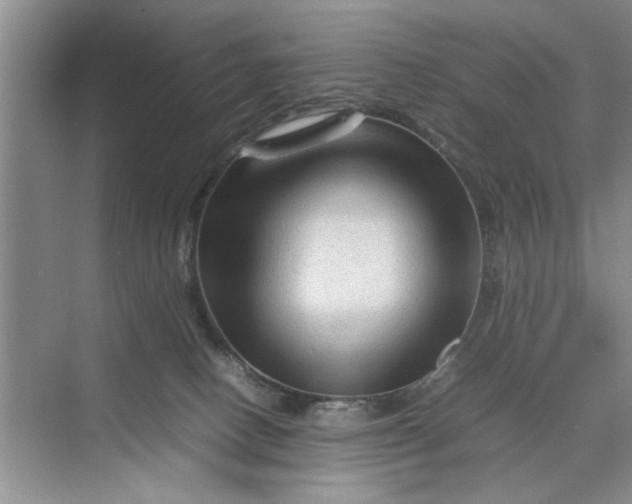 X0000070210082200606091635