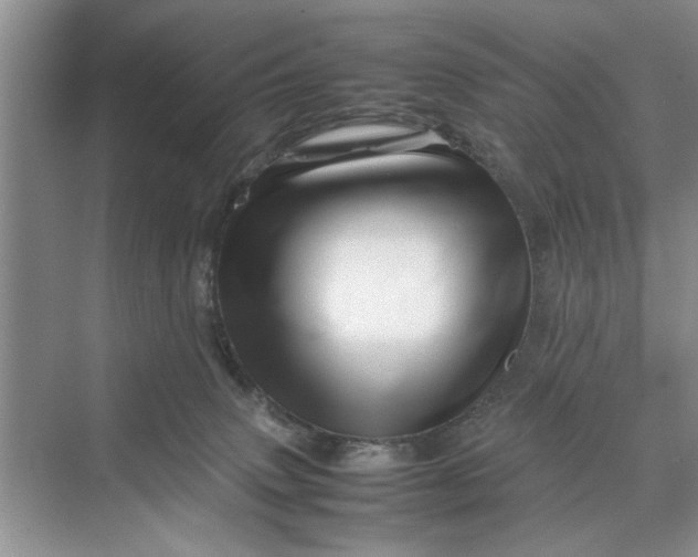 X0000070210083200606091635