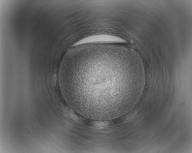 X0000070210085200606091635