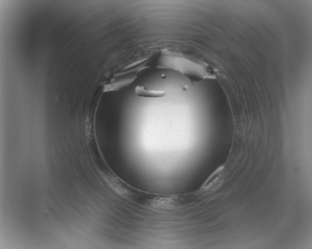 X0000070210086200606091635