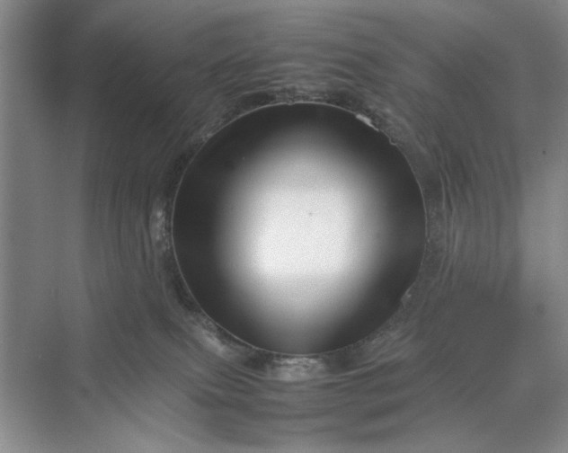 X0000070210087200606091635