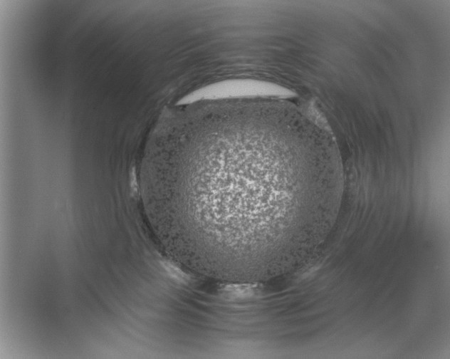 X0000070210089200606091635