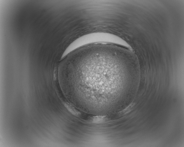 X0000070210090200606091635