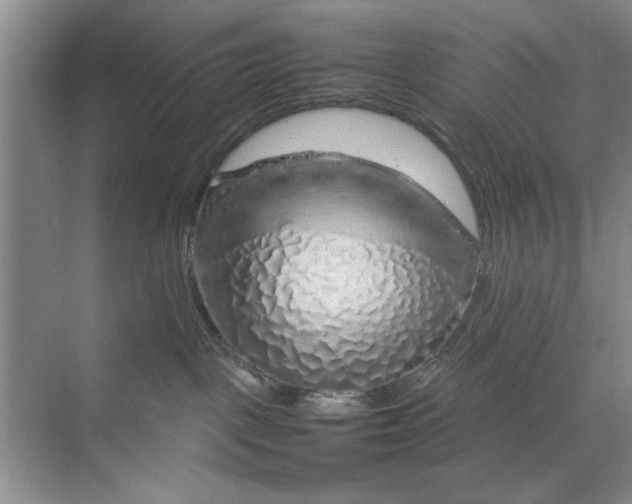 X0000070210093200606091635