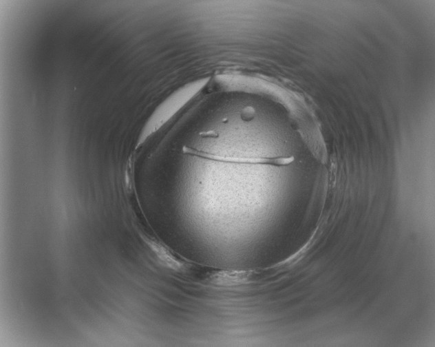 X0000070210094200606091635