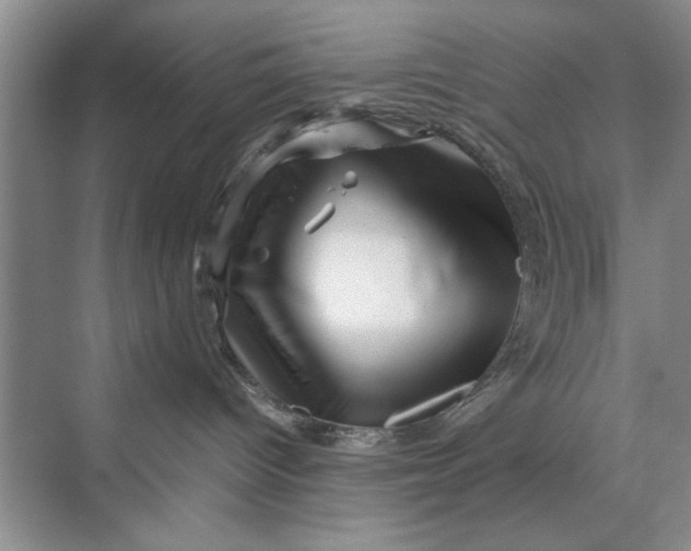 X0000070210096200606091636