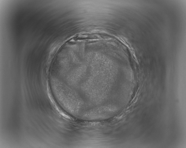 X0000070210097200606091635