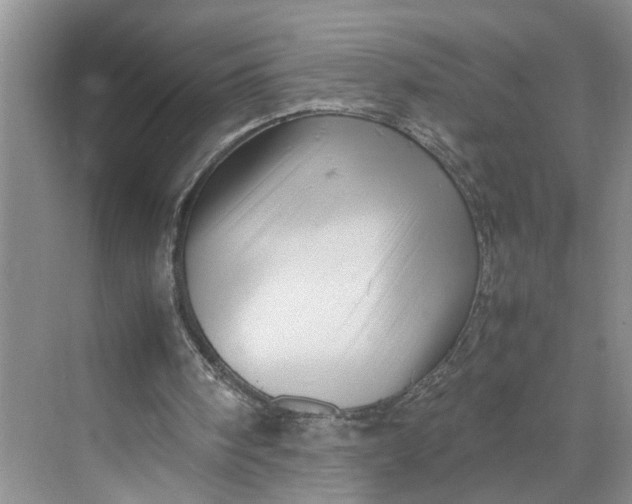 X0000070210098200606091635