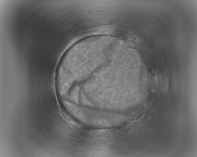 X0000070210100200606091635