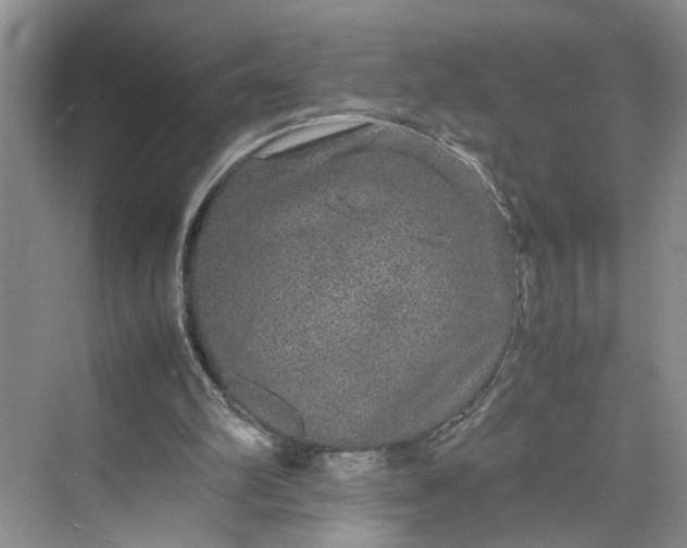 X0000070210102200606091635