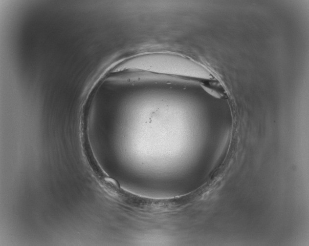 X0000070210103200606091635