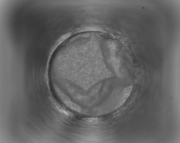 X0000070210104200606091635