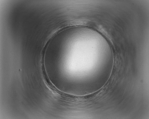 X0000070210107200606091635