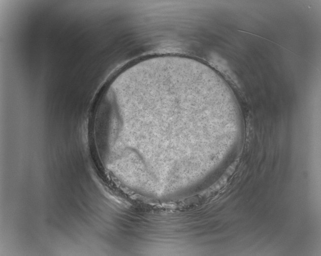 X0000070210108200606091635