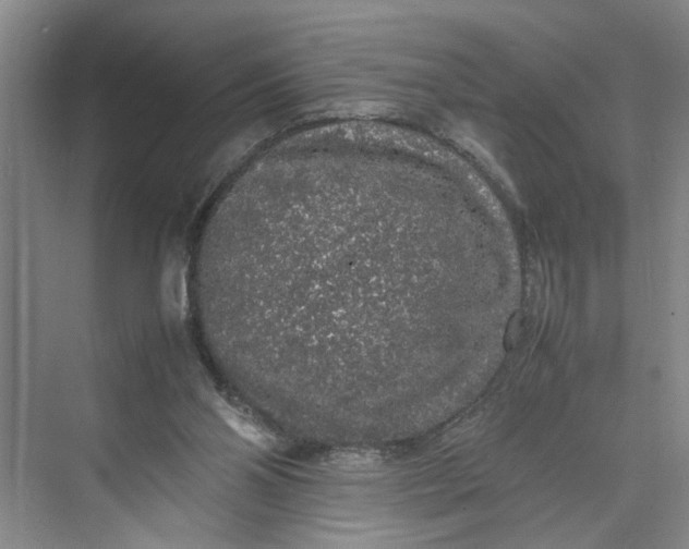 X0000070210110200606091634