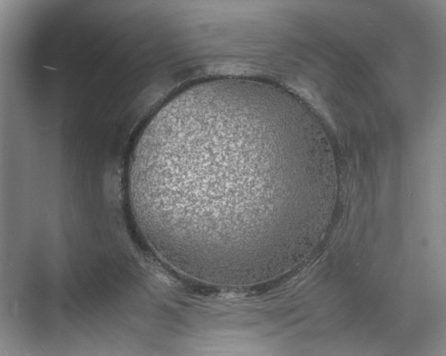 X0000070210111200606091634