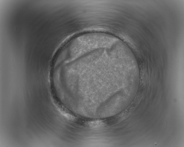 X0000070210112200606091634