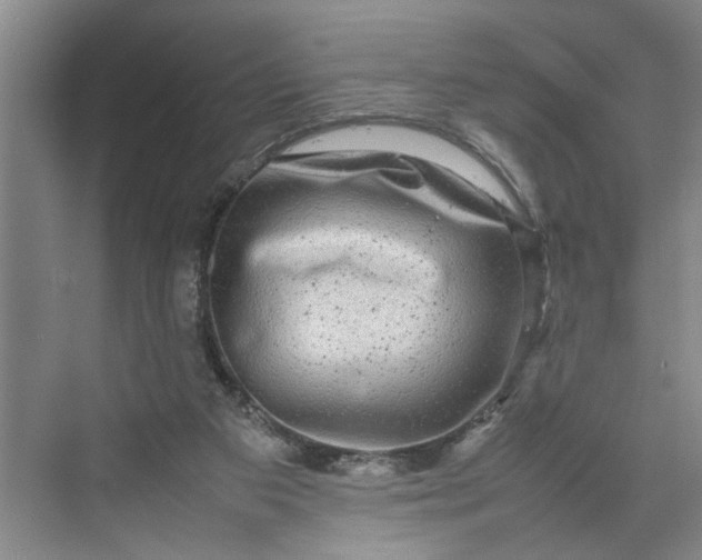 X0000070210113200606091634