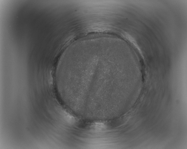 X0000070210114200606091634