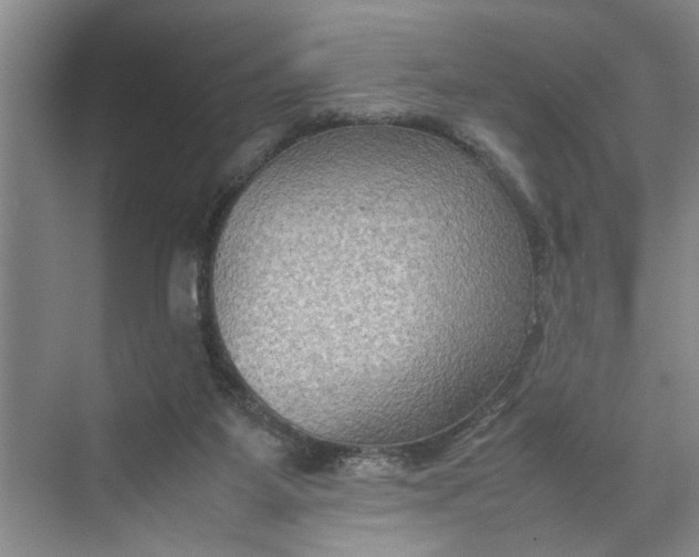 X0000070210115200606091634