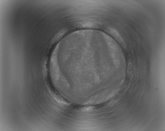 X0000070210116200606091634