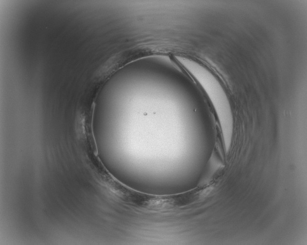 X0000070210117200606091634