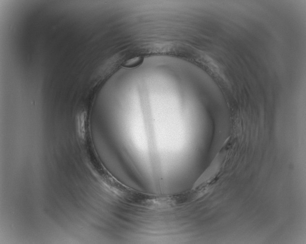 X0000070210118200606091634