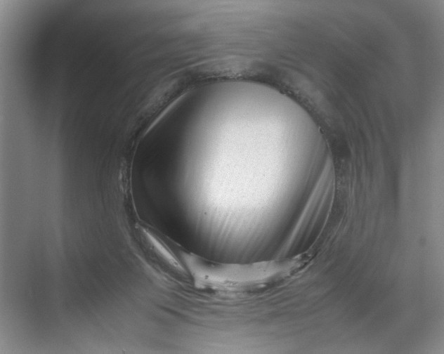 X0000070210119200606091634