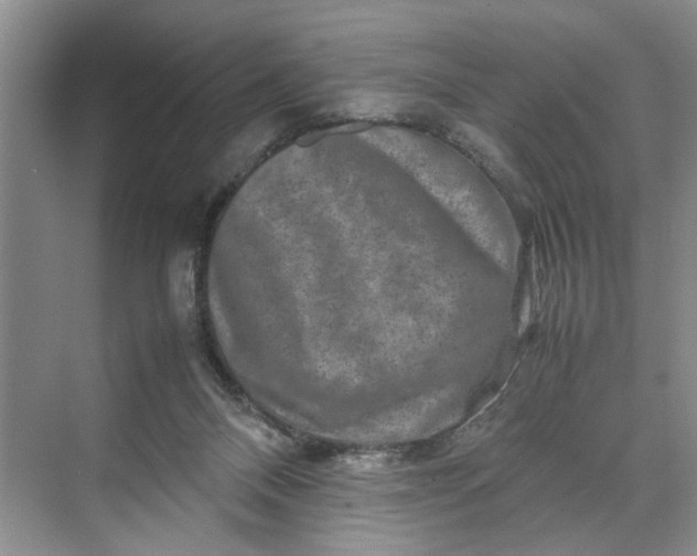 X0000070210120200606091634