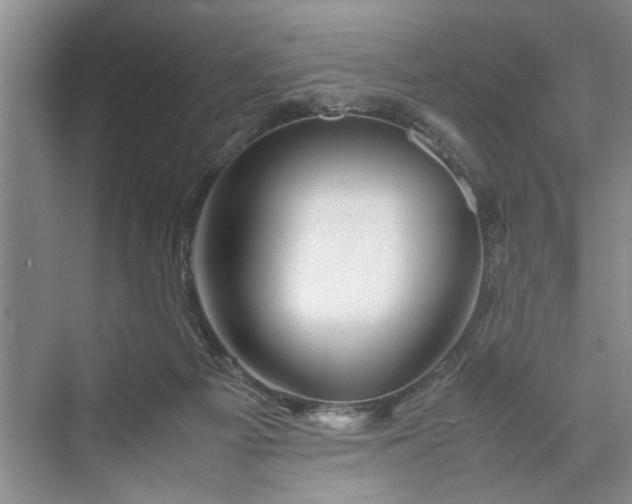 X0000070210121200606091634