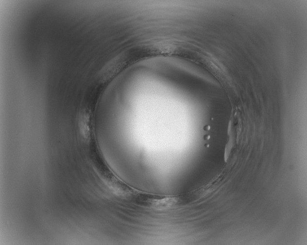 X0000070210122200606091634