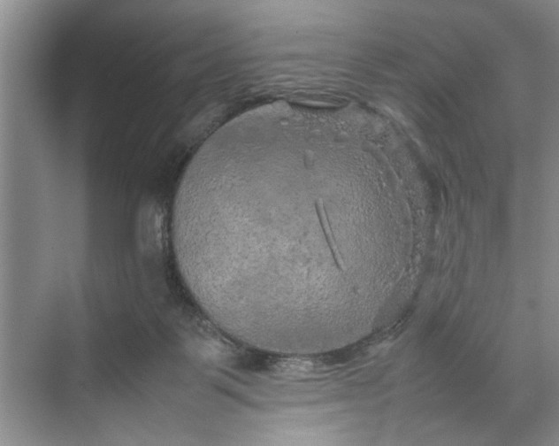 X0000070210123200606091634