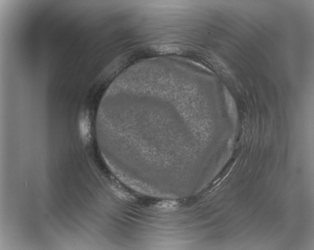 X0000070210124200606091634