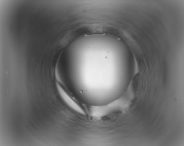 X0000070210125200606091634