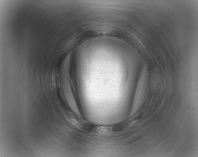 X0000070210126200606091634